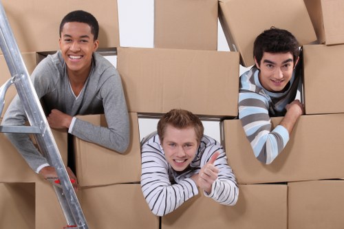 Packing materials and labelled boxes for a local relocation
