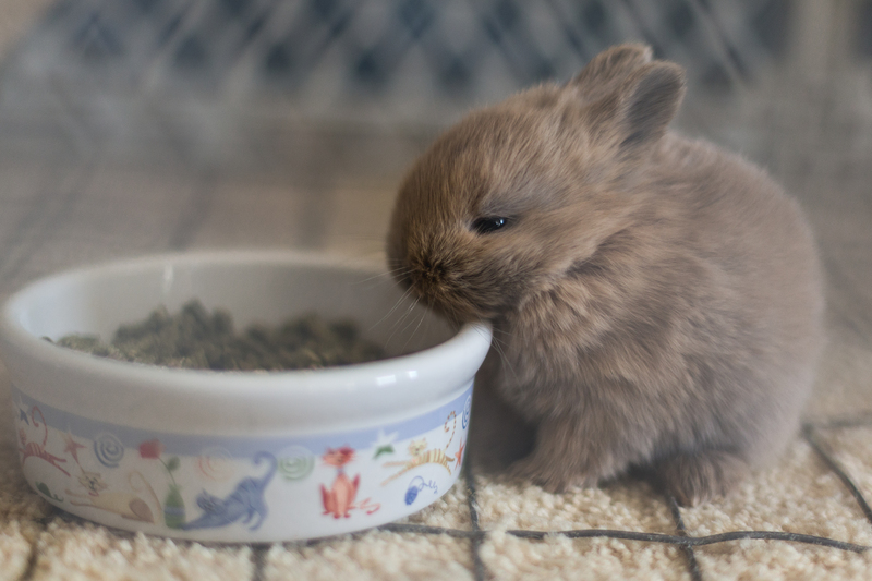 packing services boxes